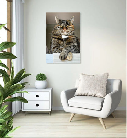 Lord of the Living Room