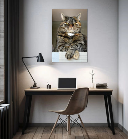 Lord of the Living Room