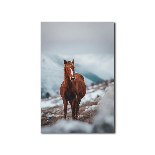The Solitary Gaze