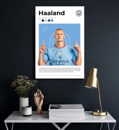 Haaland: Goal Machine