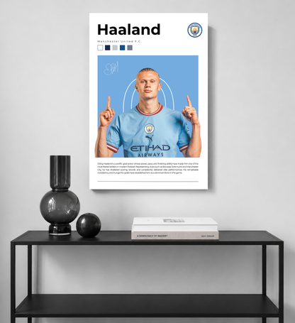 Haaland: Goal Machine