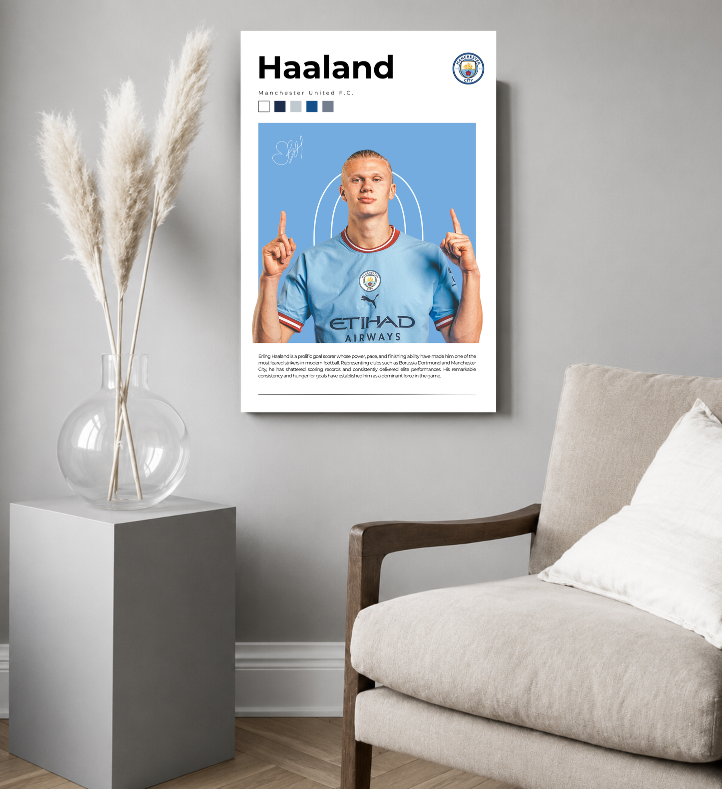 Haaland: Goal Machine