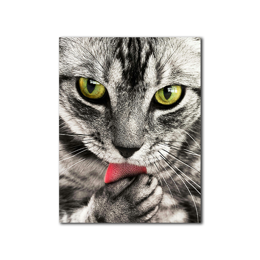Charming Meow