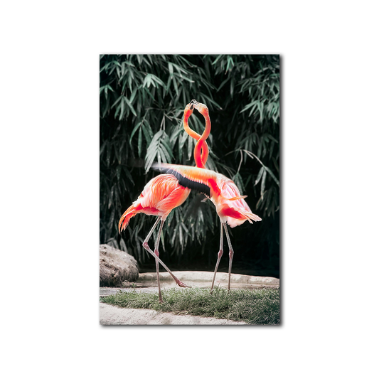 Dancing Birds