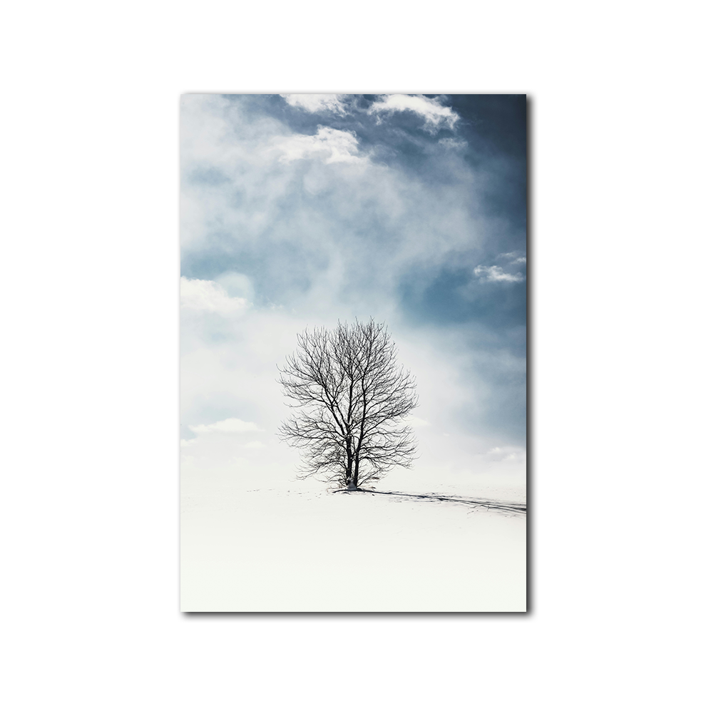 Frozen Tree