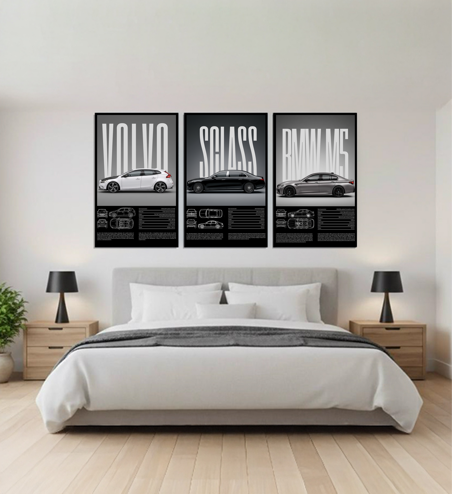 Timeless Luxury Series
