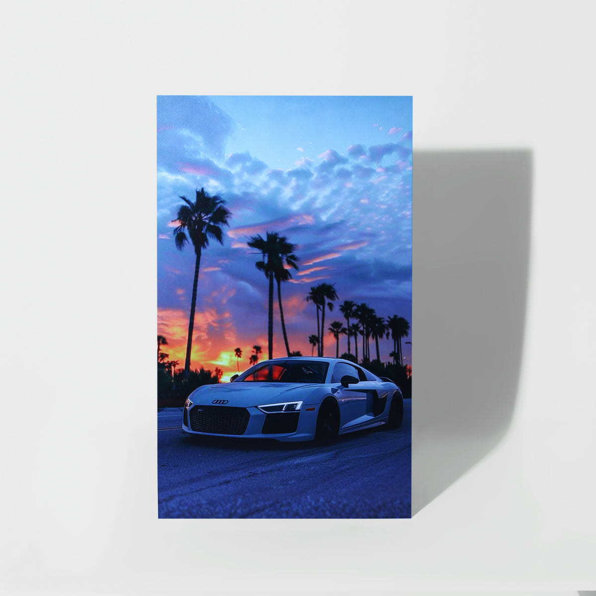 Sunlet Palm D’Live – Sunlit Palm Tree 