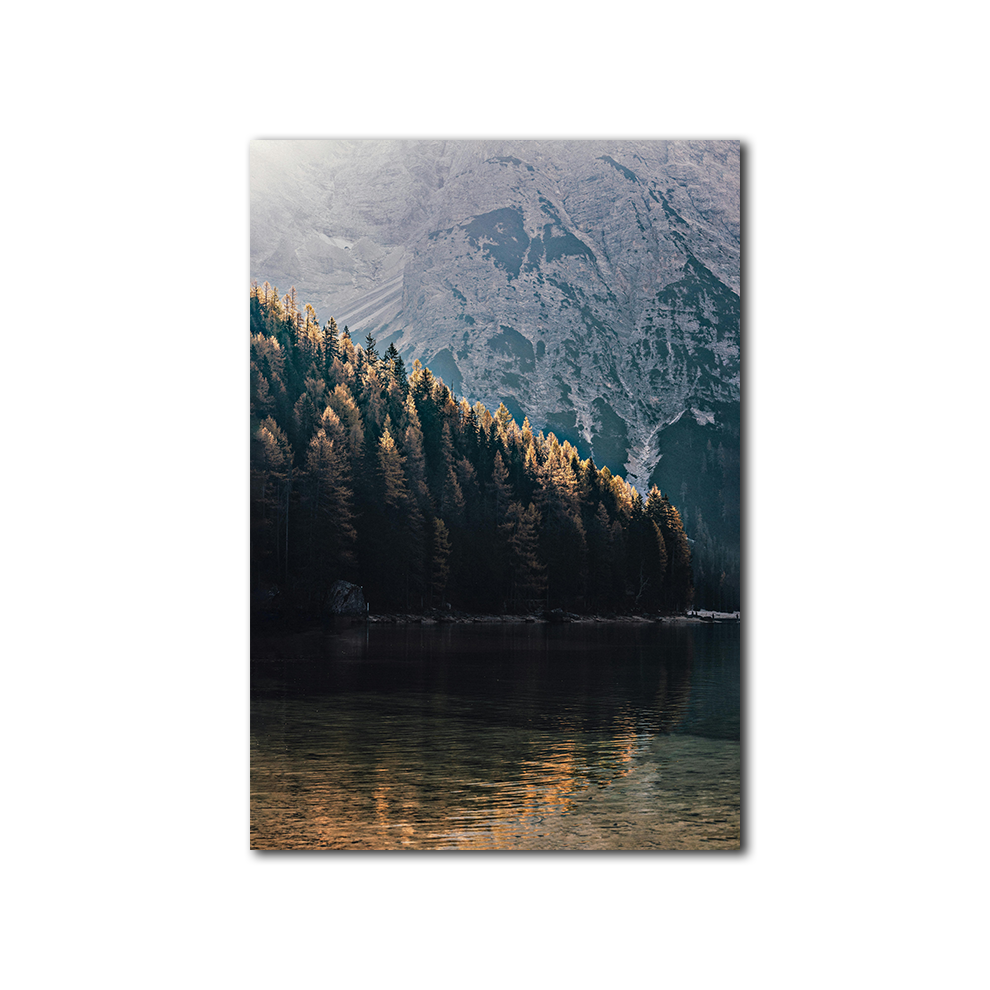 Mountain Trees