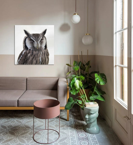 The Silent Watcher Metal Wall Art