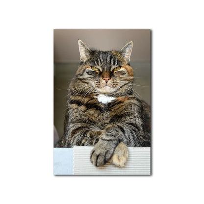 Lord of the Living Room