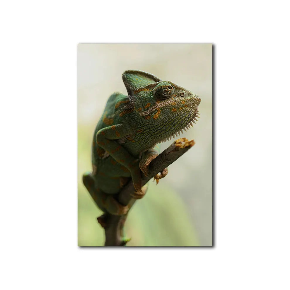 Spirit of Camouflage