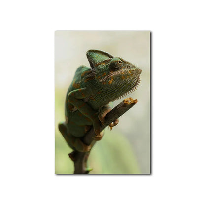 Spirit of Camouflage